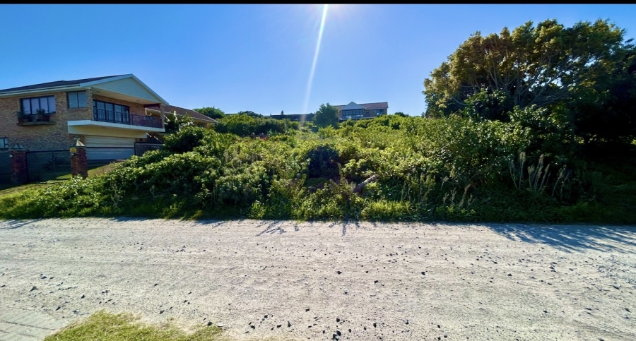 0 Bedroom Property for Sale in Forest Downs Eastern Cape